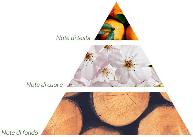 diffusori essenze piramide olfattiva profumi