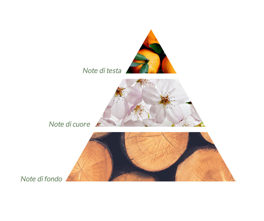diffusori essenze migliori piramide olfattiva profumi essenze